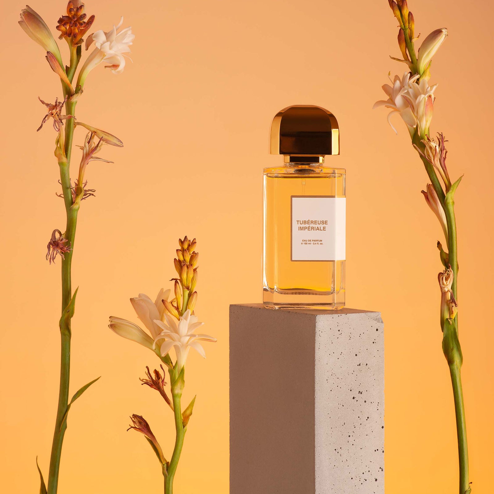 チュべルーズインペリアル – NOSE SHOP