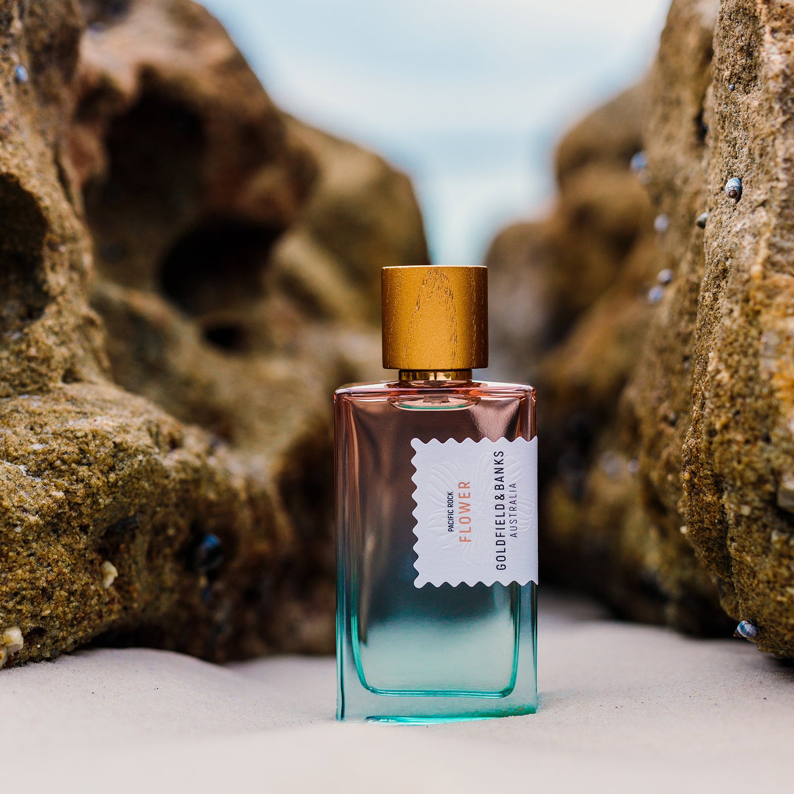 KYEH0349_1600x.jpg?v=1747965478