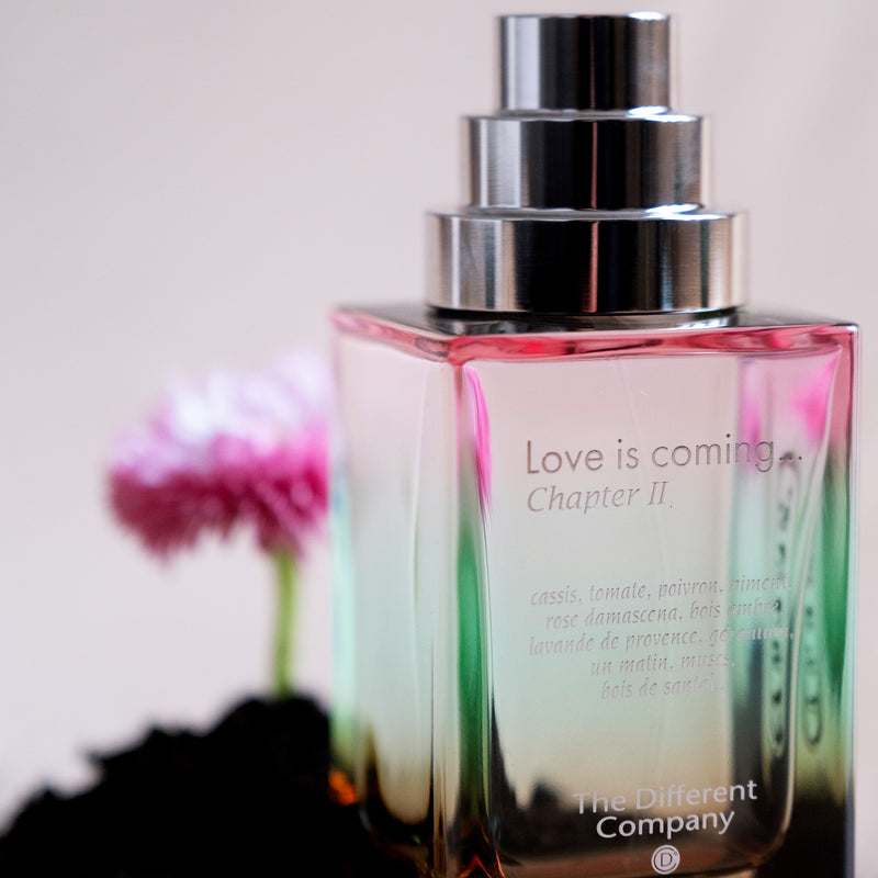 ラヴ イズ カミング チャプターⅡ – NOSE SHOP