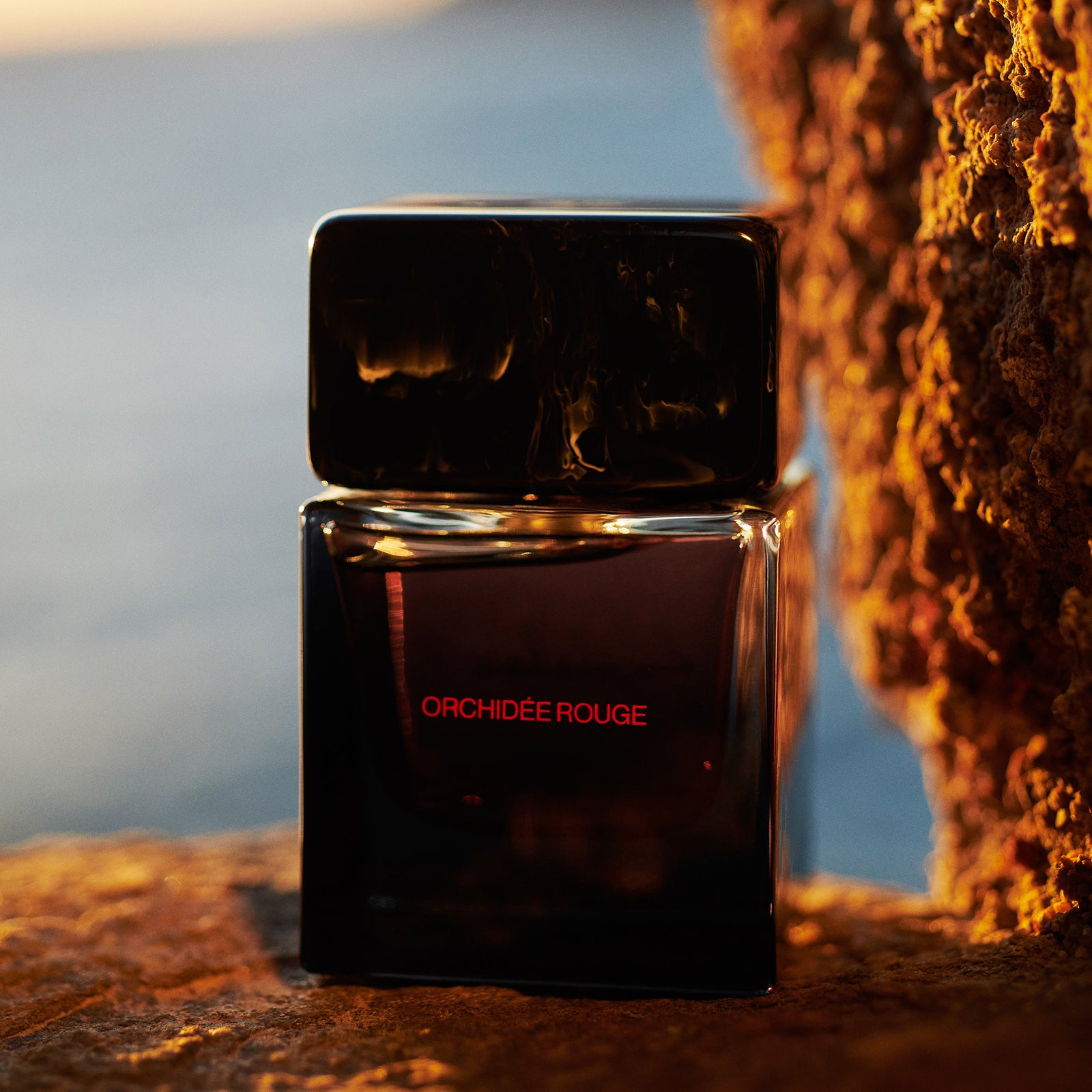 オーキデ ルージュ｜赤き蘭 – NOSE SHOP