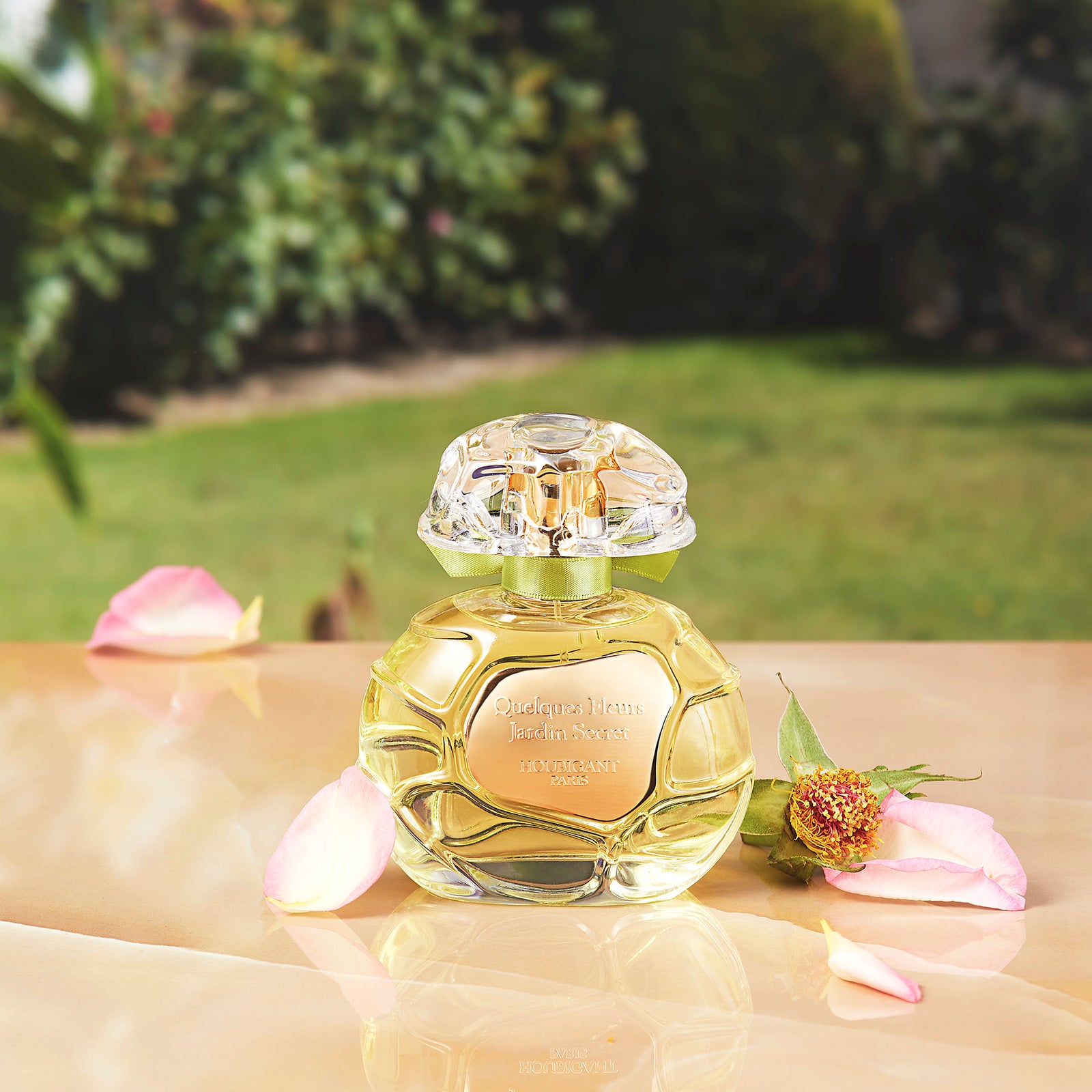 QFJSCP_1600x.jpg?v=1646991539