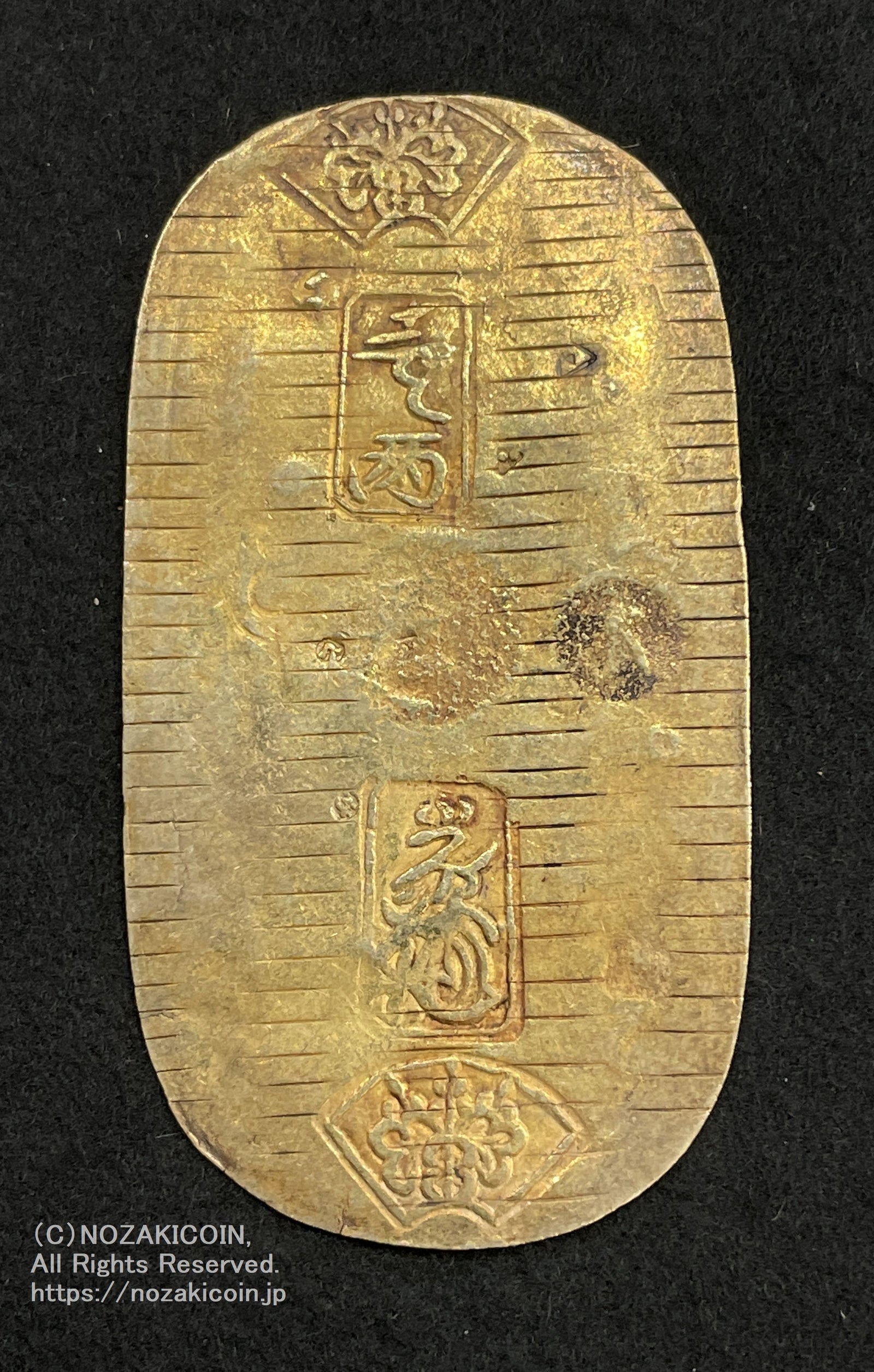 IMG_6484_1600x.jpg?v=1709202945