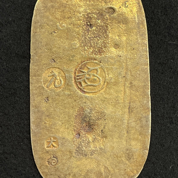 IMG_6486_600x600_crop_center.