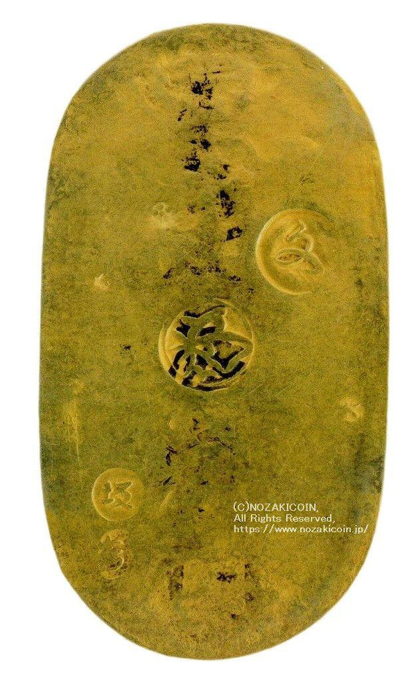 imgj663_1_600x.jpg?v=1689655364