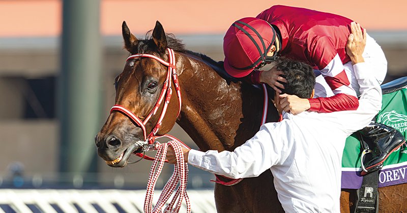 い*う様 【世界唯一】年度代表馬選出記念フォーエバーヤング坂井瑠星