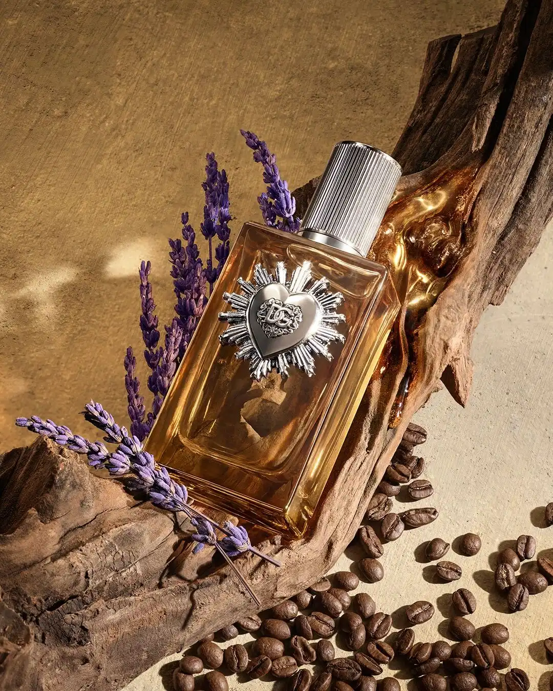 Dolce & Gabbana Devotion Pour Homme (2025) Parfum - MC Perfume