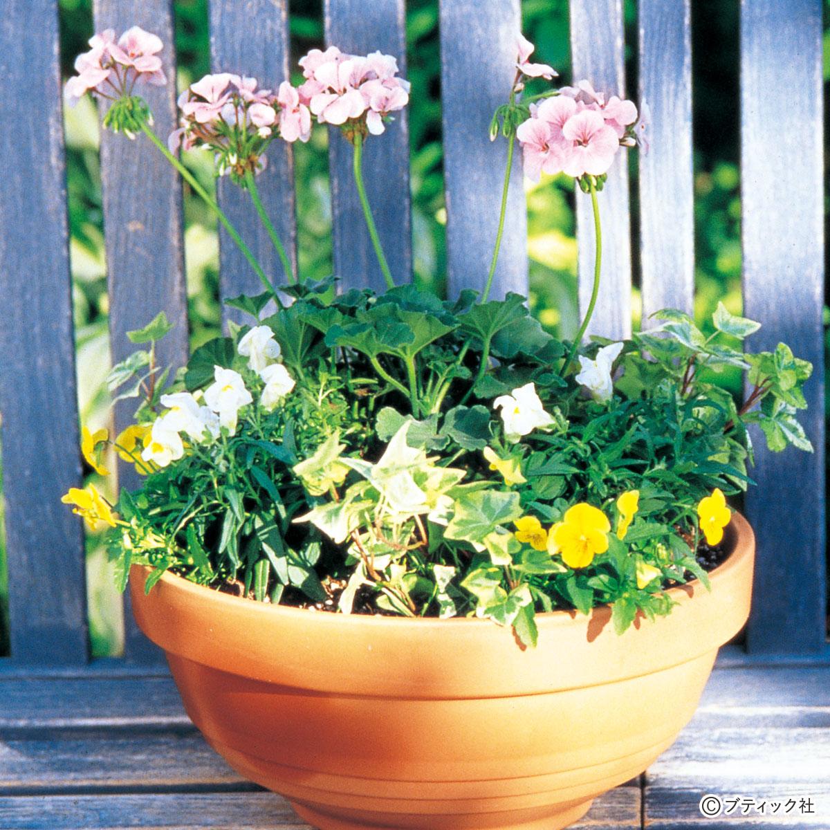 ローボウルを使った寄せ植え」のやり方｜ぬくもり