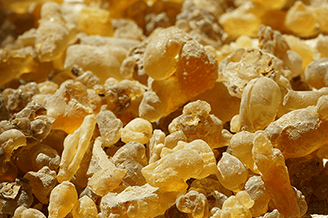 フレグランス コレクション | ニールズヤード レメディーズ 公式