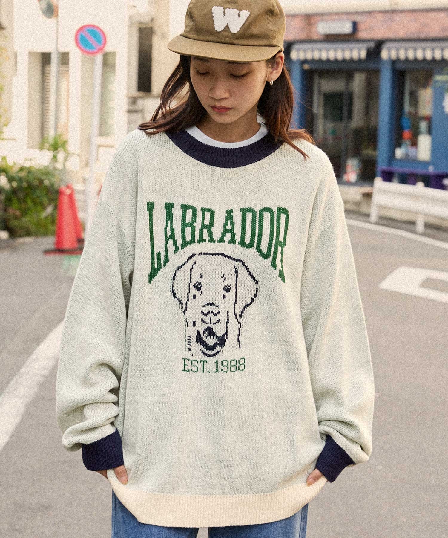 Labrador Retriever/ラブラドールレトリーバー 別注 カレッジ ビッグ