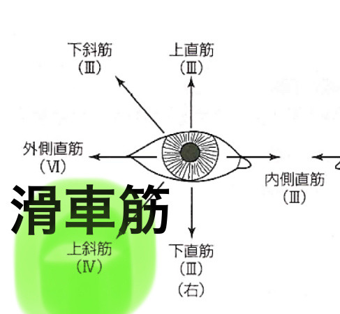 社会理論と社会システムまとめ単語カード | Quizlet