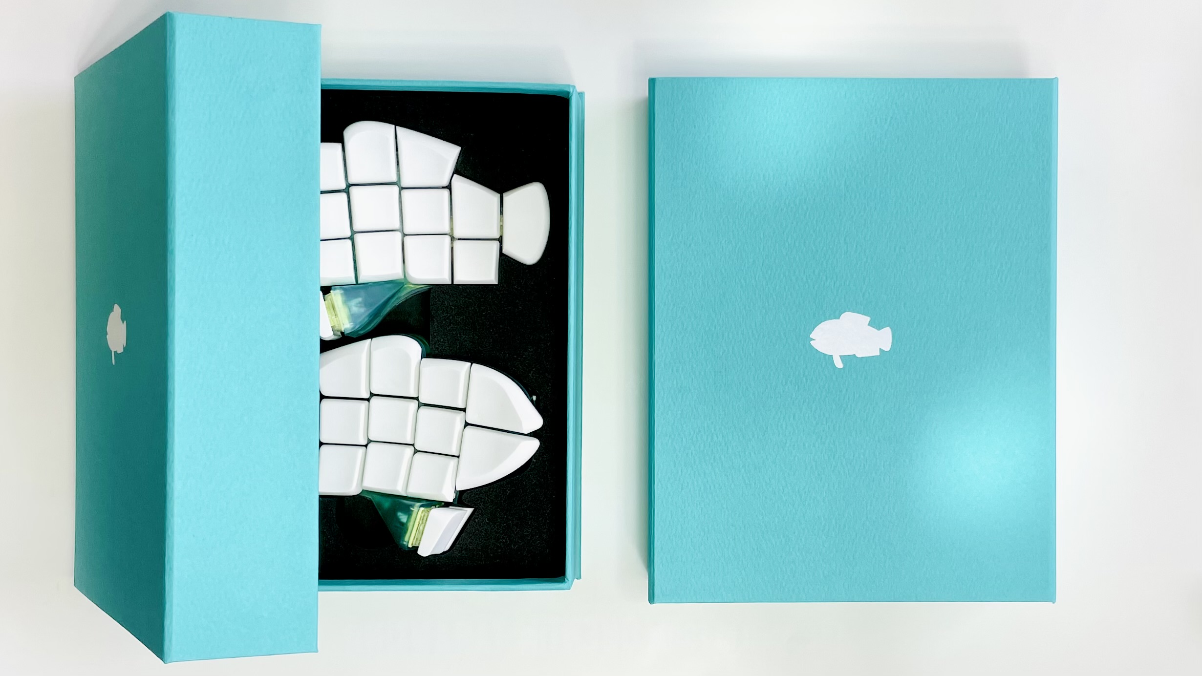 おさかなキーボード