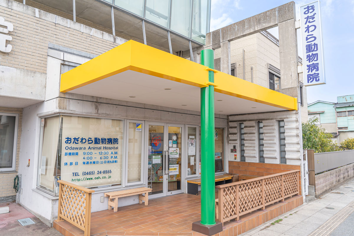 おだわら動物病院｜施設紹介