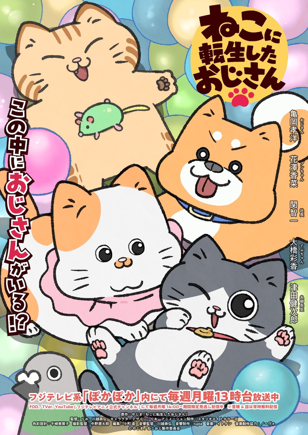 ねこに転生したおじさん」プンちゃんたちが戯れる新ビジュアル 23話を