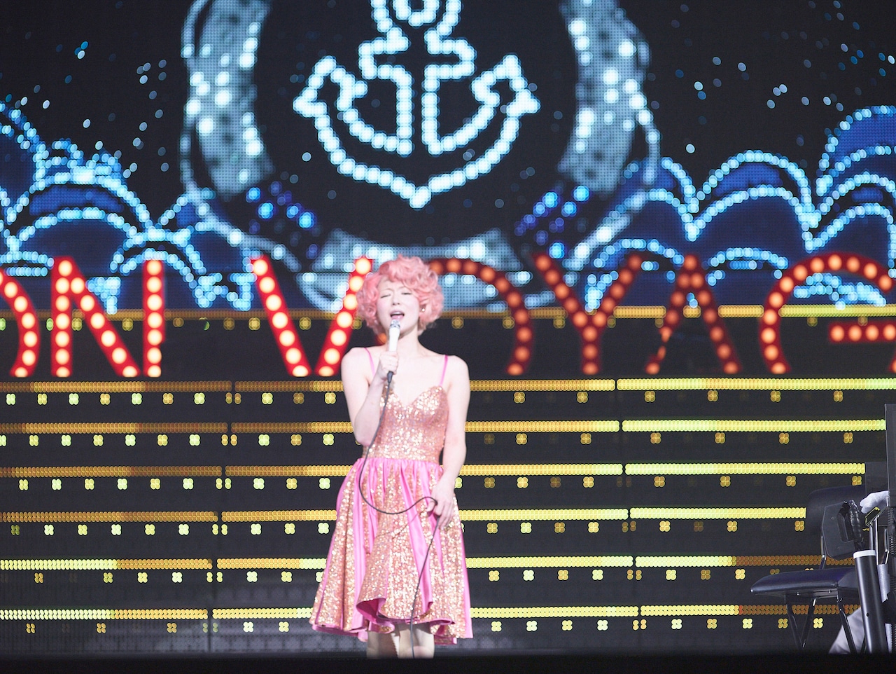 椎名林檎「林檎博'14 -年女の逆襲-」11月29日埼玉・さいたまスーパー