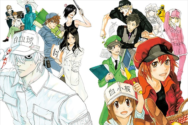 はたらく細胞」 清水茜インタビュー - コミックナタリー 特集