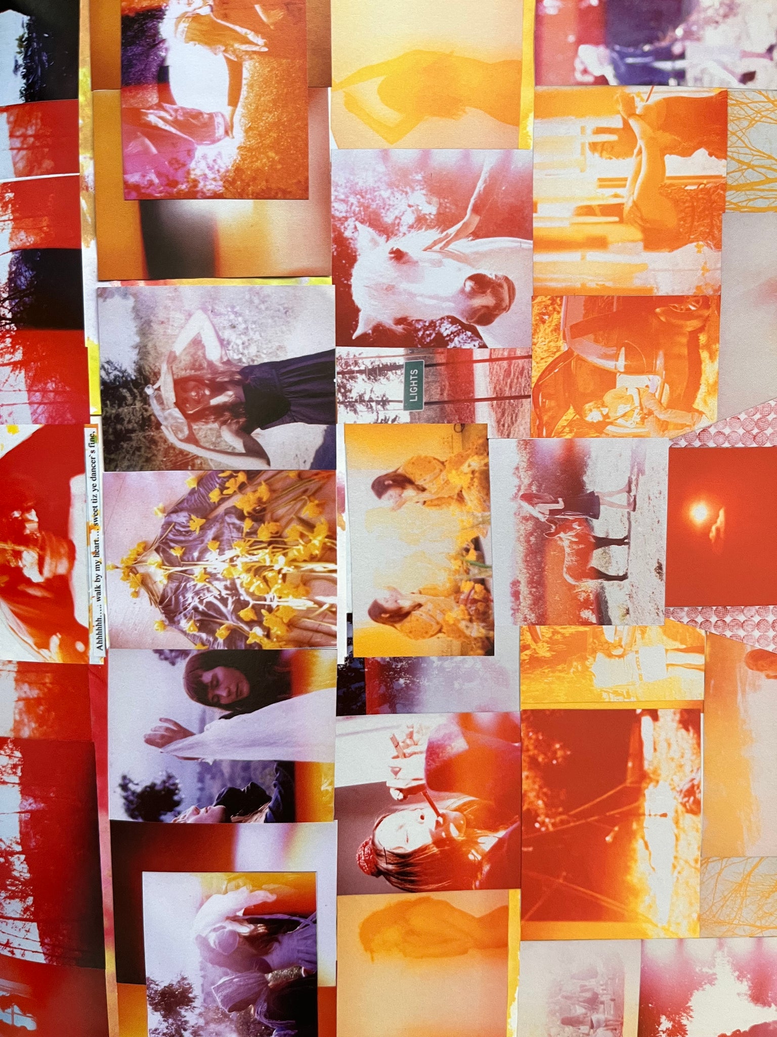 Not in Fashion - Mark Borthwick – Offbrand Library