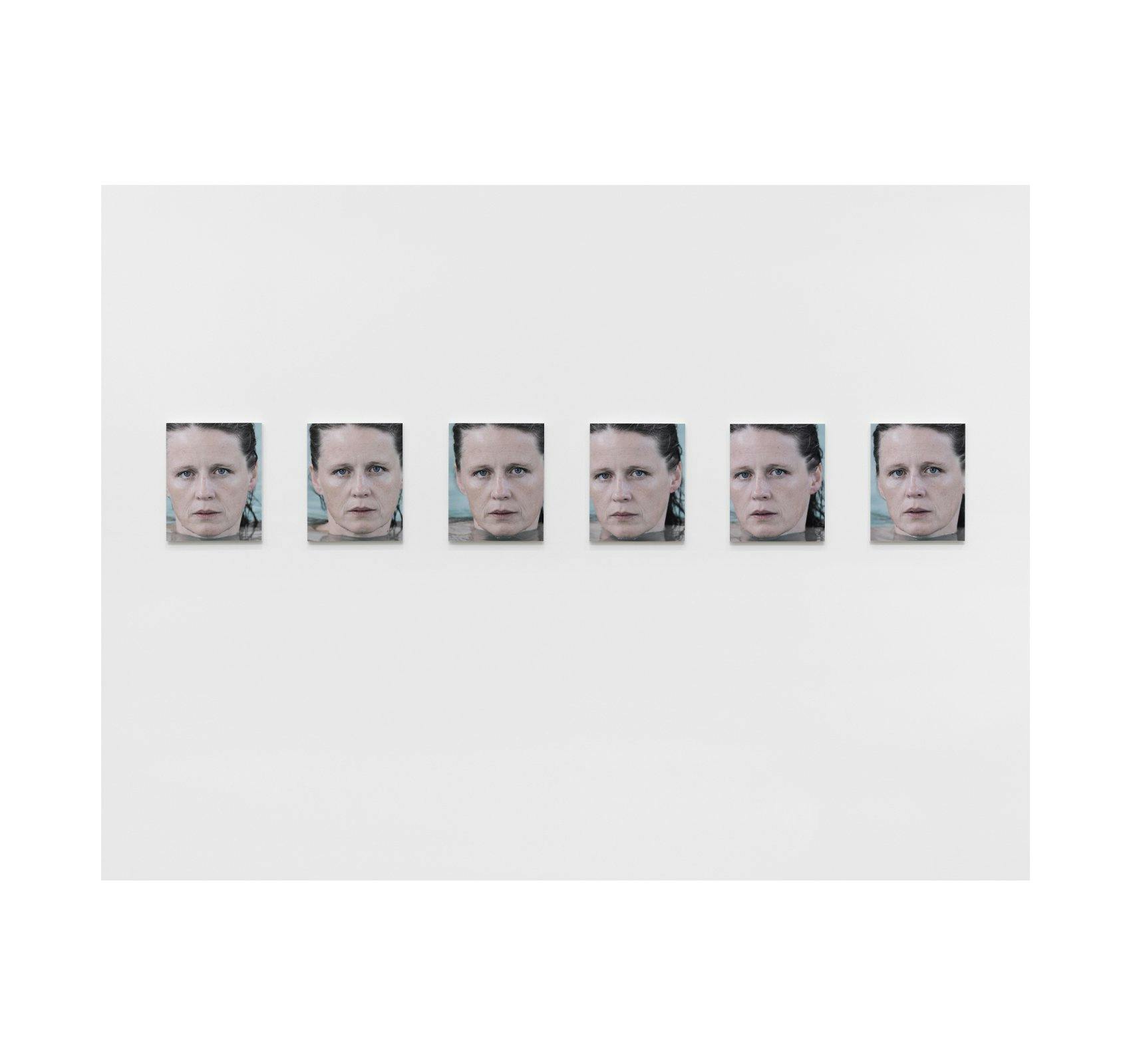 RONI HORN: WHEN YOU SEE YOUR REFLECTION IN WATER, DO YOU RECOGNIZE