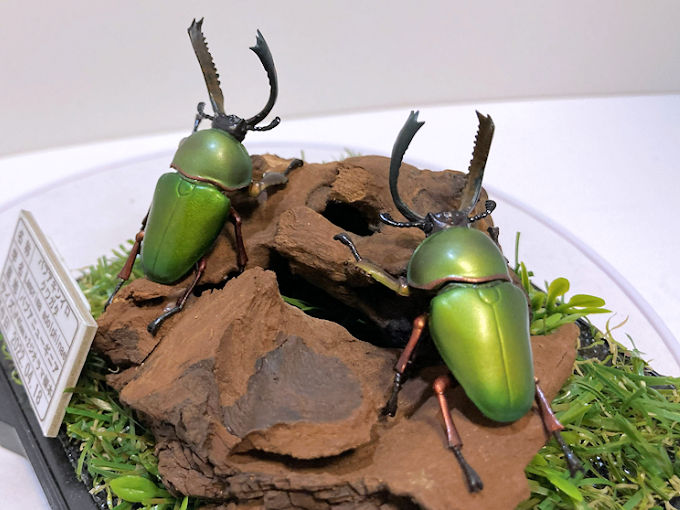 ヨーロッパ ミヤマクワガタ♂76mmレプリカジオラマ標本 | オオクワ