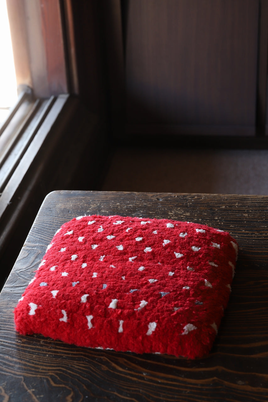 s-IMG_2324_1200x1801.jpg?v=