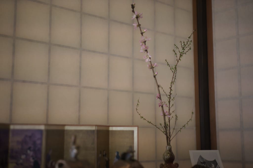 Nikkor-H.C 50mm f2 L39 Review作例 5cm ニコンのライカLマウント銘玉