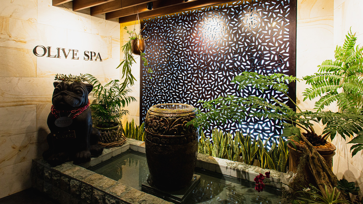 銀座店 | アロマオイルトリートメントのOLIVESPA【公式】