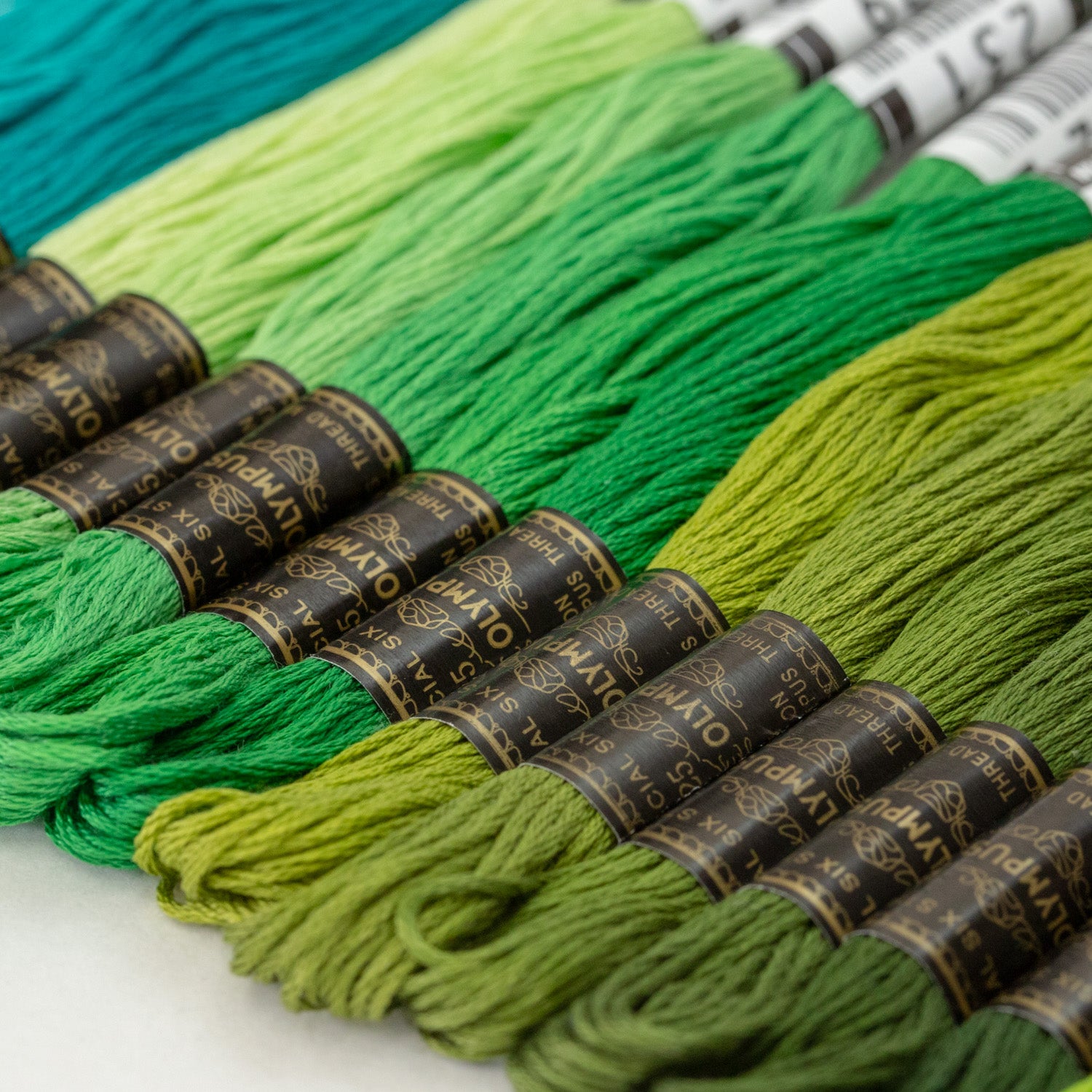 25embroidery_green_img.jpg?v=