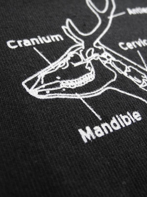 ニホンジカ♂全身骨格Tシャツ - 大阪市立自然史博物館友の会ネット