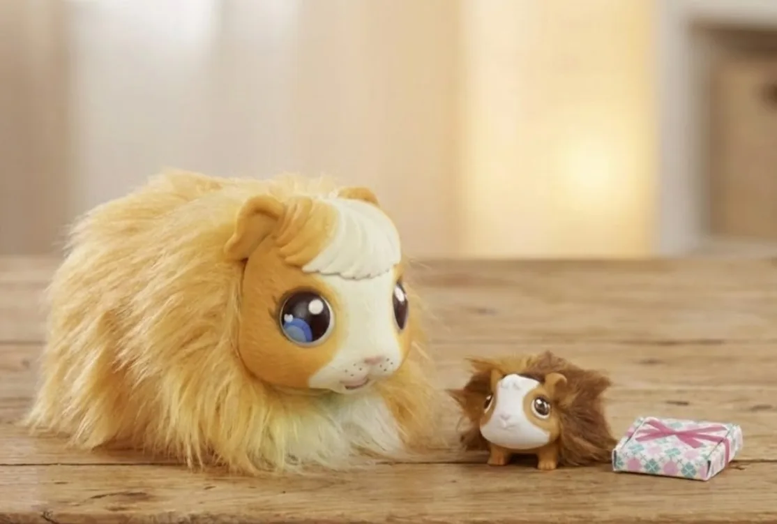 ママサプライズ徹底解説！仕組みは？モルモットからミニズ(うさぎ)まで