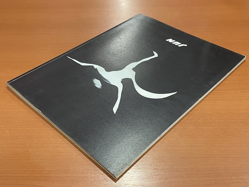 THE FACE: FASHION PHOTOGRAPHY FROM THE EIGHTIES TO THE NINETIES