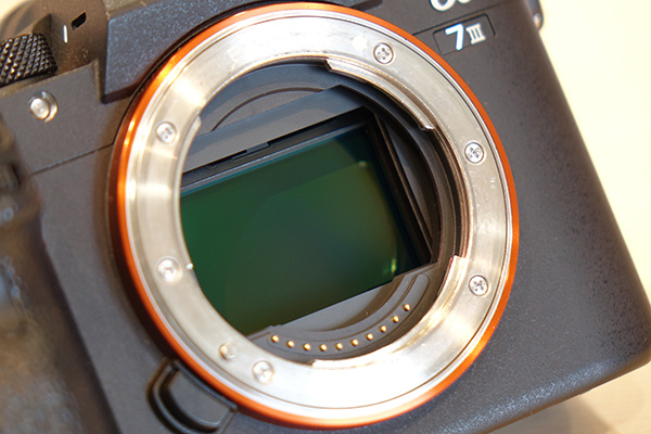 シャッターカウント - ONE'S- ソニープロショップワンズ[兵庫県小野市