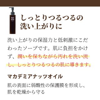 EBM ONLINE STUDIO / ローズガルヴァーニ スキンナビゲーター ボディ