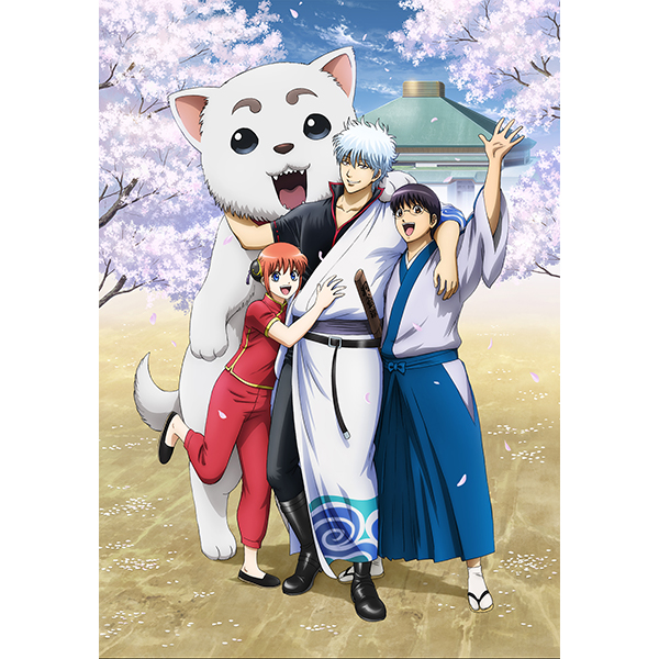 銀魂 銀祭り2019 初回仕様限定 DVD 購入 銀魂 銀祭り2019(仮)(初回