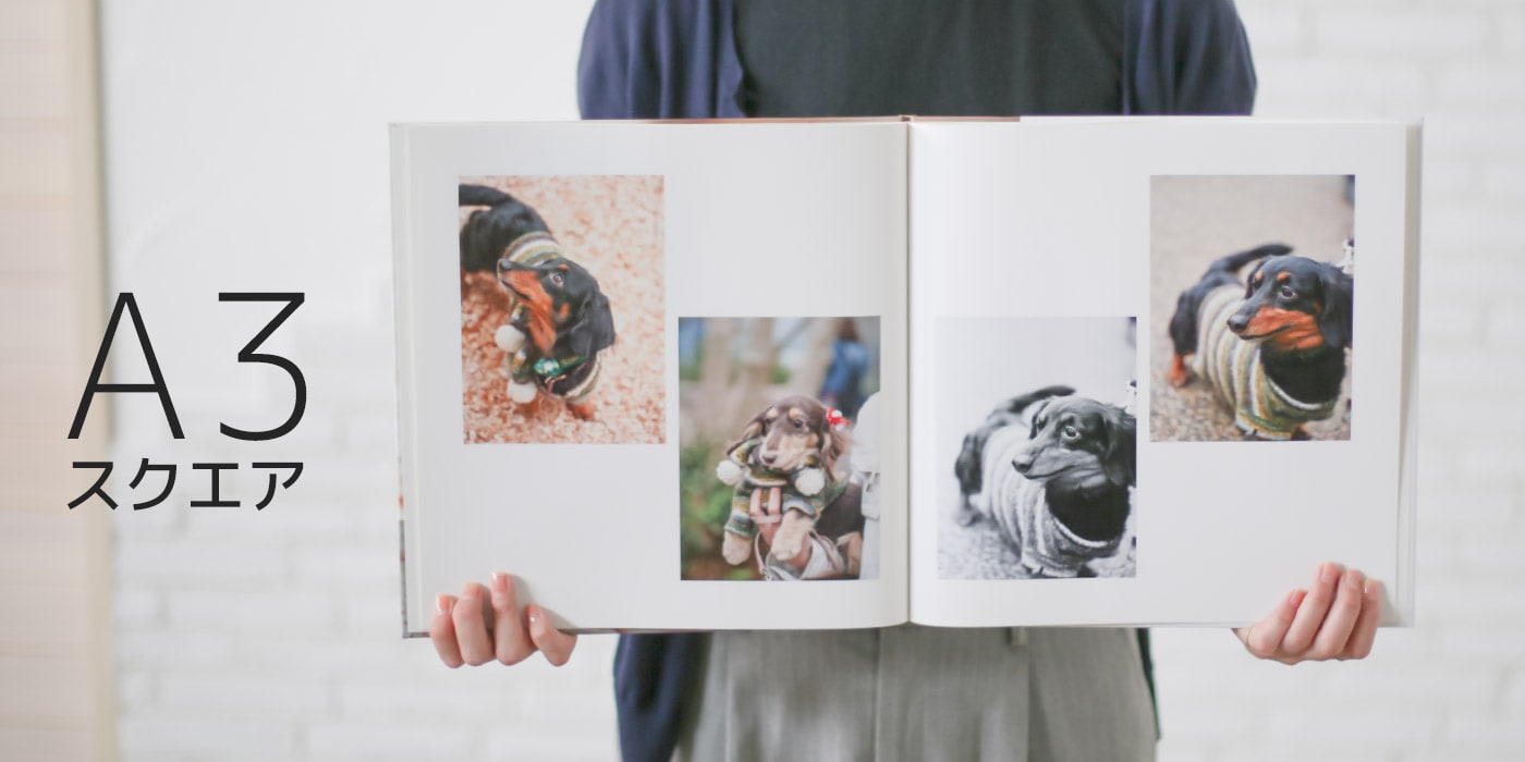 オンラインラボのフォトブック