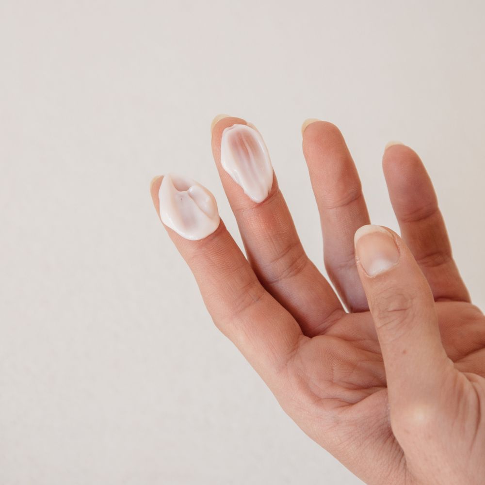 On The Wild Side ナイト バーム | ON THE WILD SIDE JP