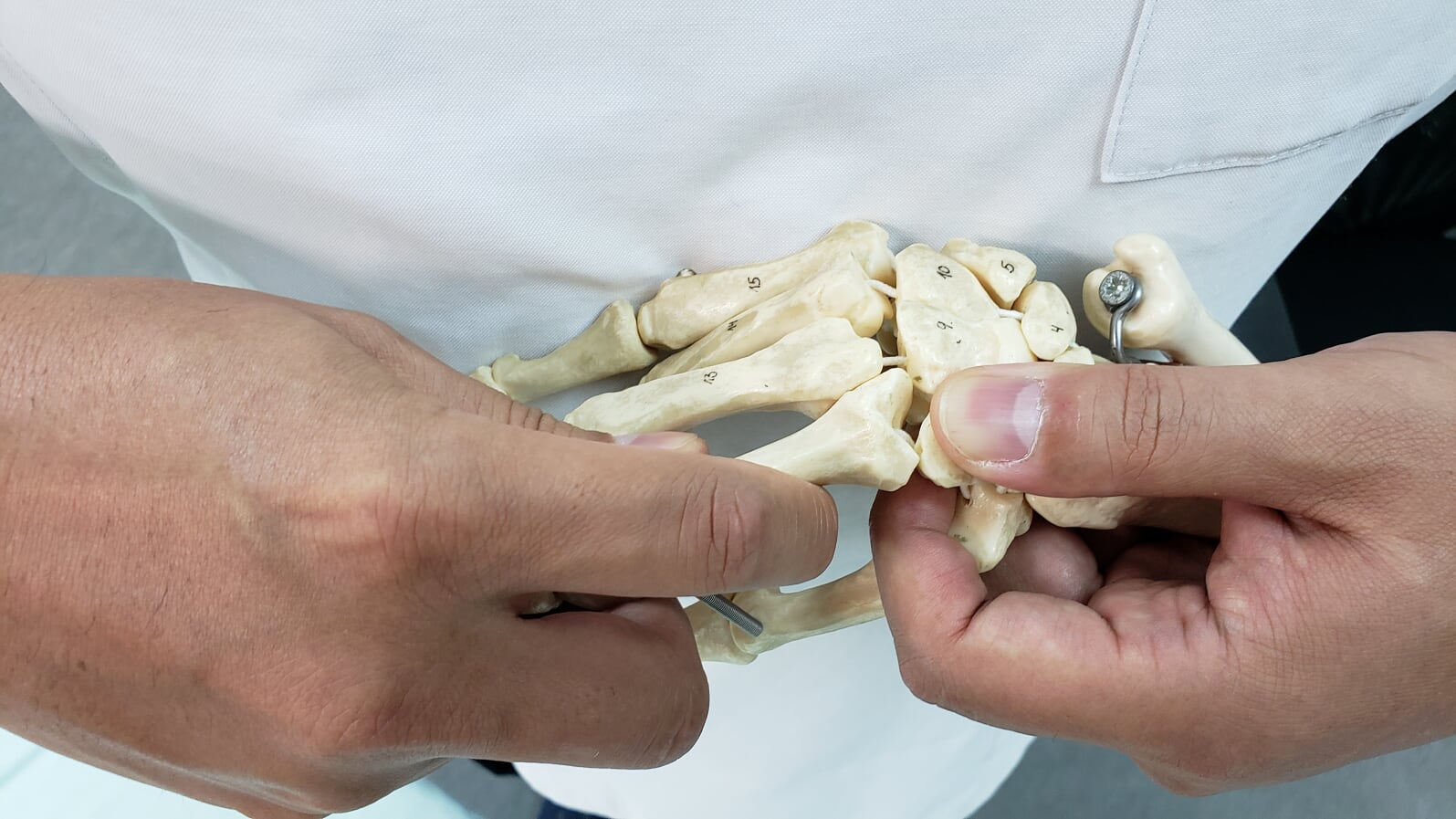 2022.04～2022.12 直接法 四肢編セミナー - JOA-日本オステオパシー学会