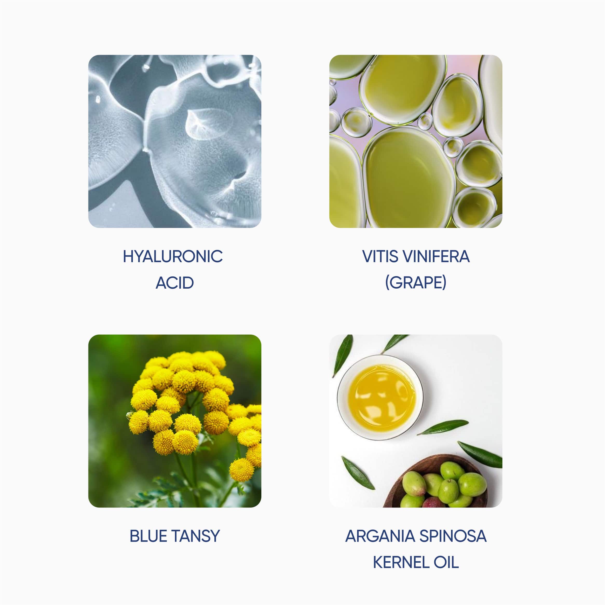 Zemits RevitaOx Pro Hydra-Revival Antioxidant Infusion Serum with