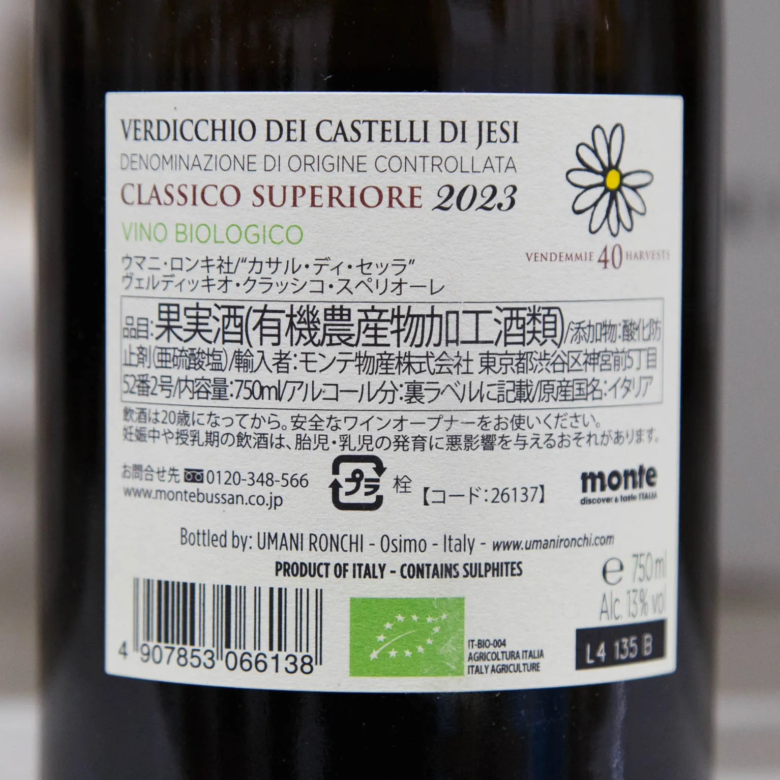 ウマニロンキ カサルディセッラ ヴェルディッキオ ディ カステッリ