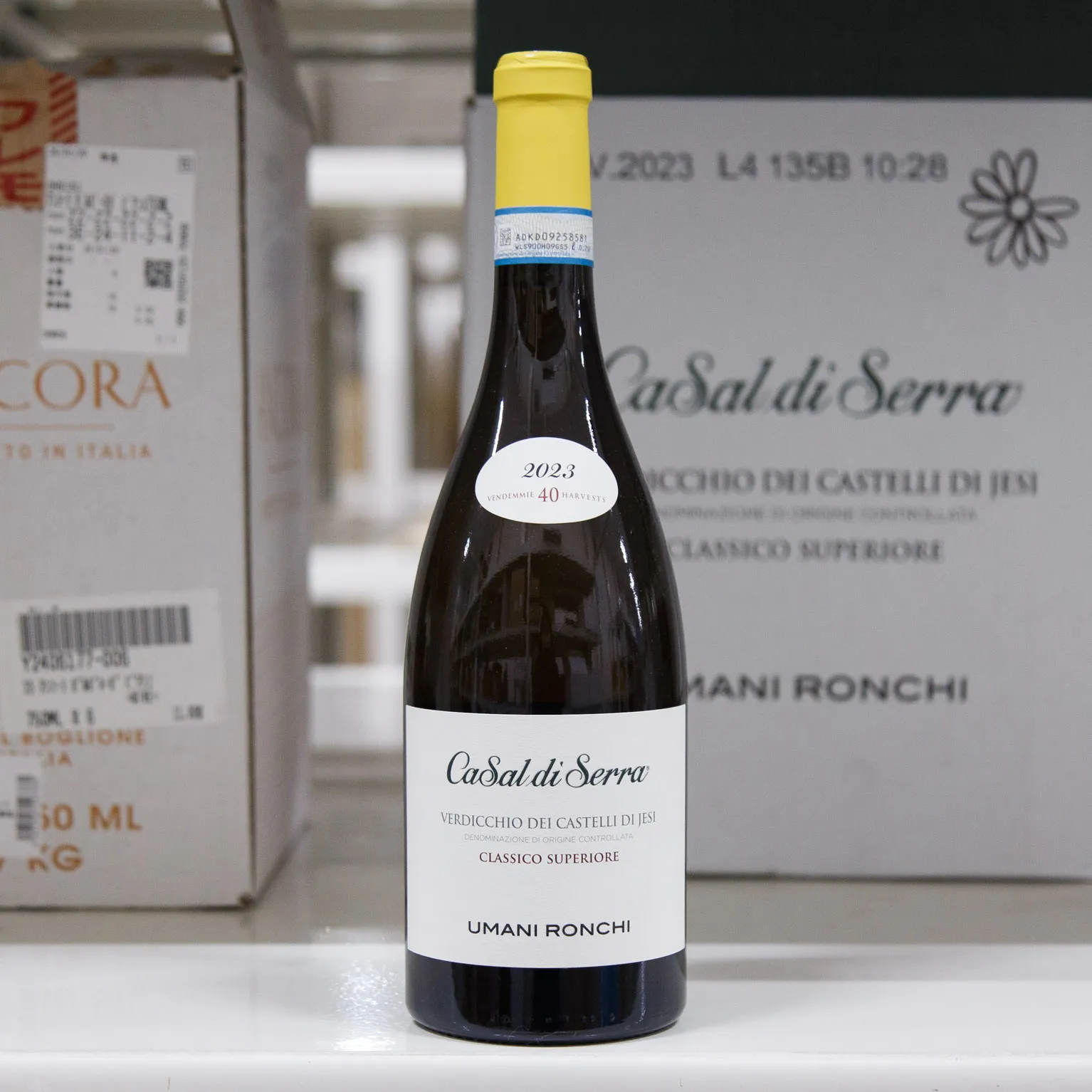 ウマニロンキ カサルディセッラ ヴェルディッキオ ディ カステッリ