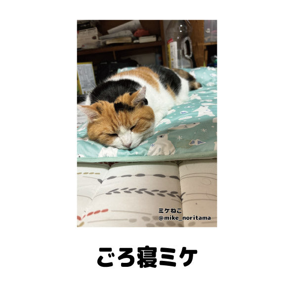 数量限定】ミケねこ日常瞬間集 ポストカードセット – 俺の推し