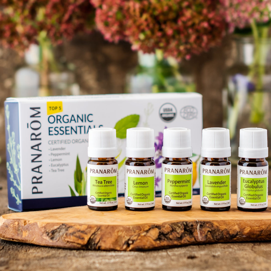 top5lifestyle_1080x.jpg?v=