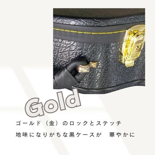 ギター ケース ハードケース アコギ アコースティックギター フォーク