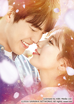 韓国ドラマ『むやみに切なく』日本語字幕版（全20話） - フジテレビ