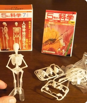 もう一度見たい！科学と学習 | 大人の科学マガジン | 大人の科学.net