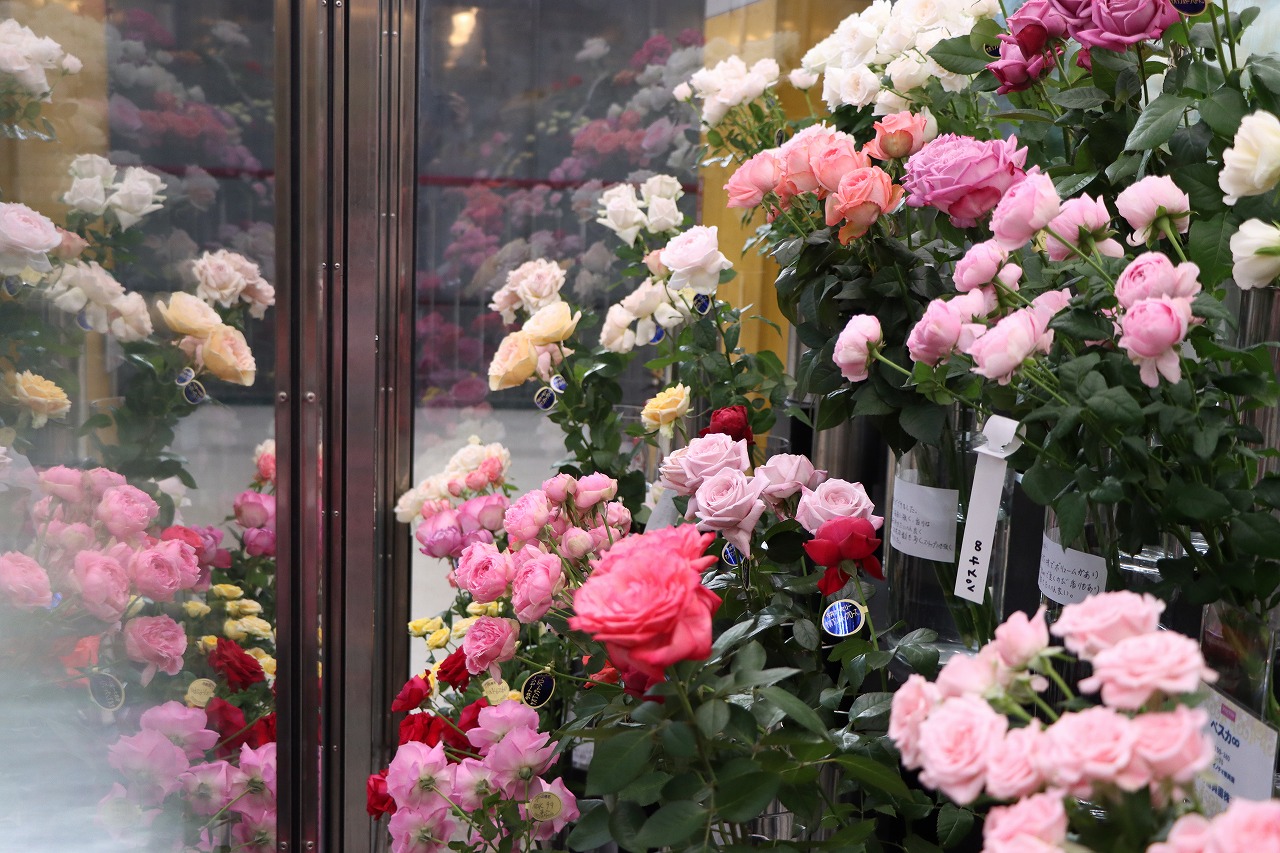 秋を彩る 最新バラCollection - 株式会社大田花き