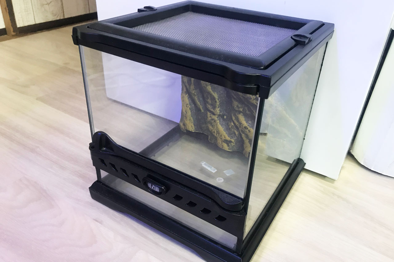 定番製品！「グラステラリウム ナノ キューブ」実使用レビュー