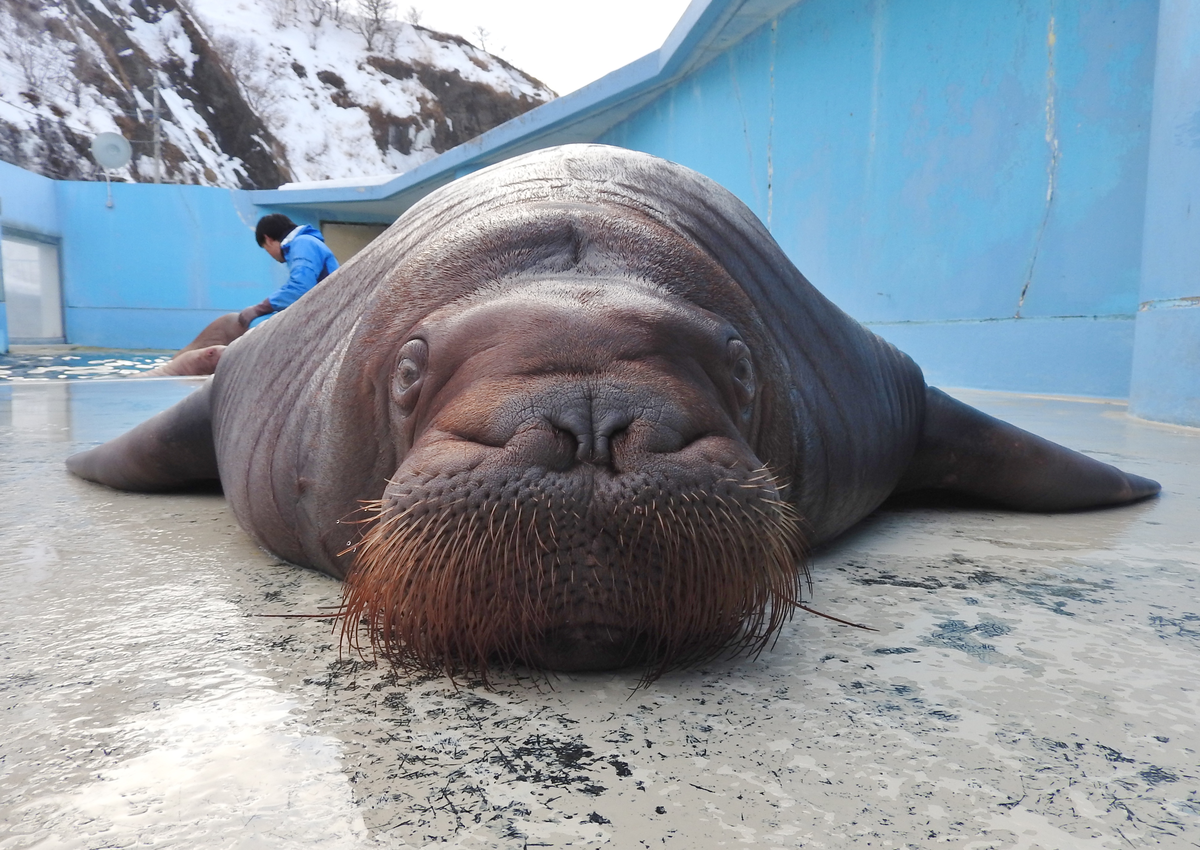 永久保存版 | 【公式】おたる水族館