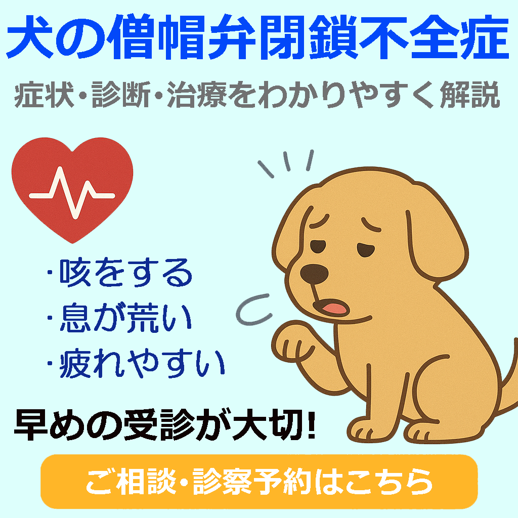 僧帽弁閉鎖不全症 |