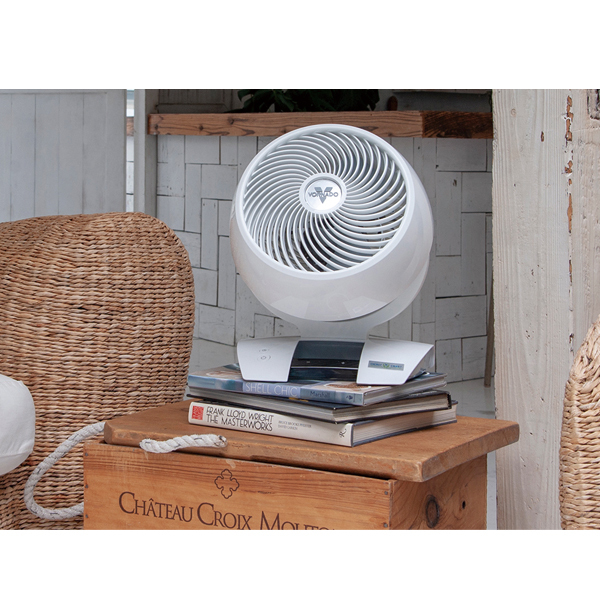 自然大好き！ニッチ・リッチ・キャッチ ナ ～ ハ 行 ボルネード