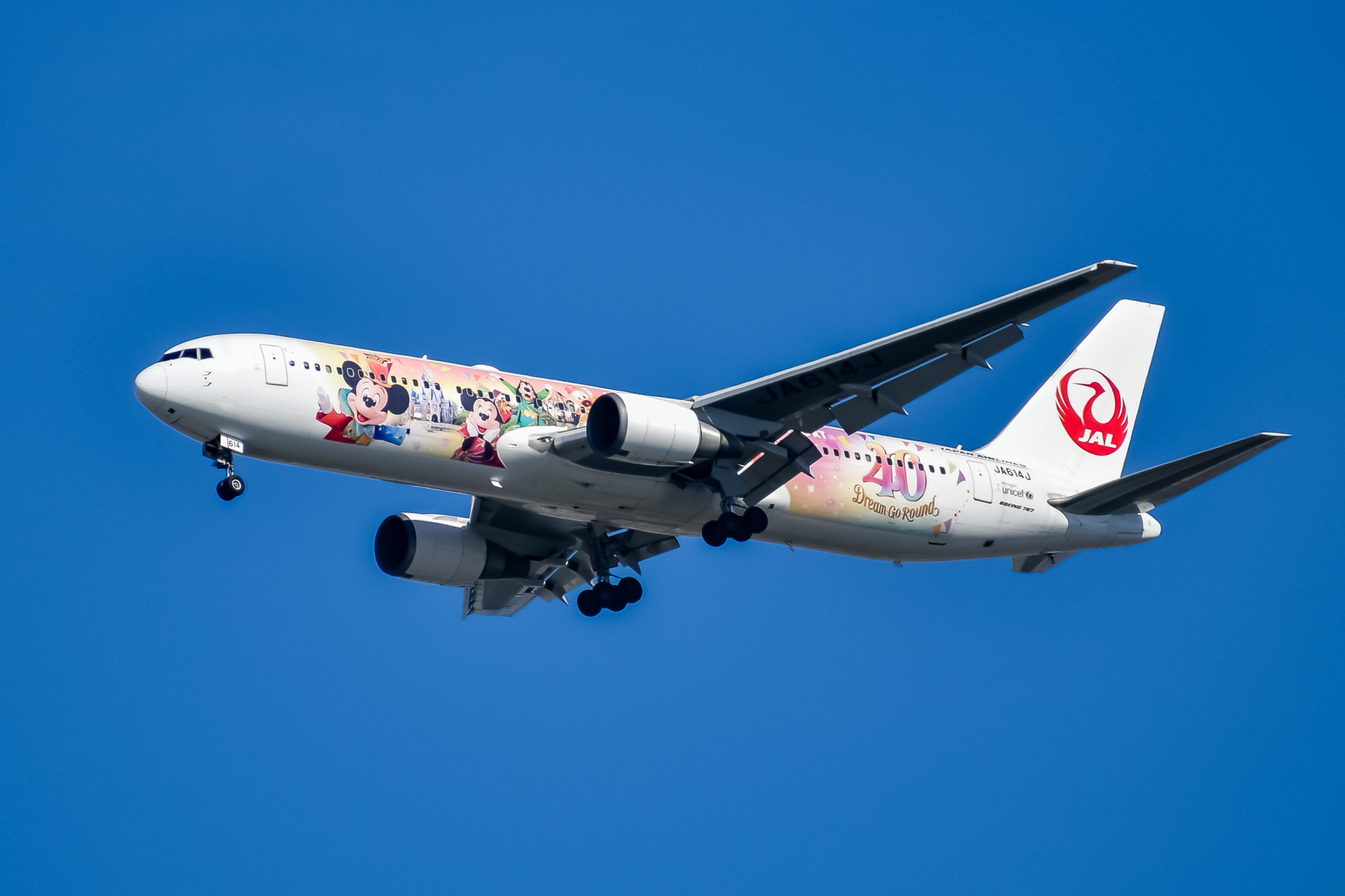 JAL特別塗装機 | OYAJI PHOTO CLUB