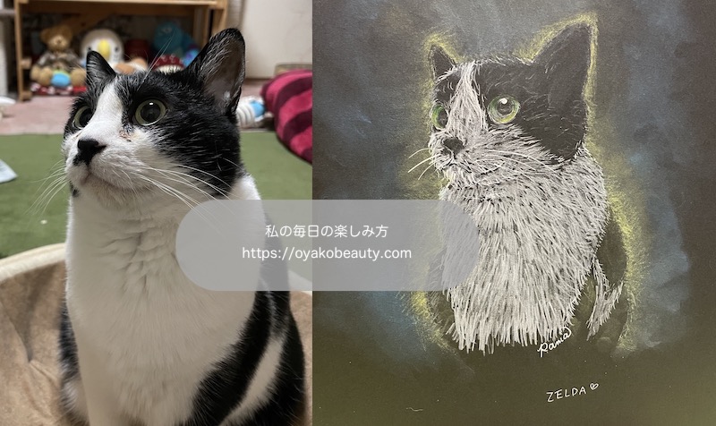 黒い画用紙にハチワレ猫を描いてみた「色鉛筆とパステルで描いた猫の絵